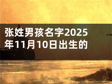 张姓男孩名字2025年11月10日出生的
