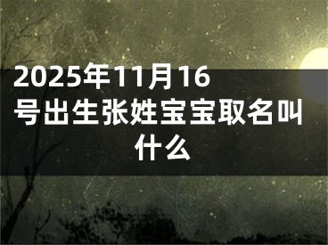 2025年11月16号出生张姓宝宝取名叫什么
