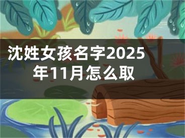 沈姓女孩名字2025年11月怎么取
