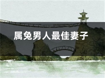 属兔男人最佳妻子