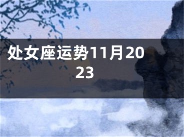 处女座运势11月2023