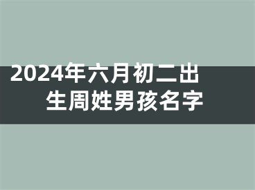 2024年六月初二出生周姓男孩名字