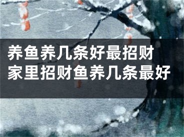 养鱼养几条好最招财 家里招财鱼养几条最好