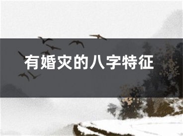 有婚灾的八字特征