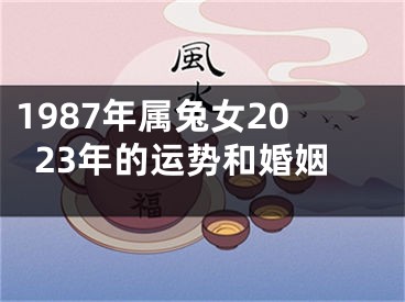 1987年属兔女2023年的运势和婚姻