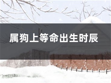 属狗上等命出生时辰