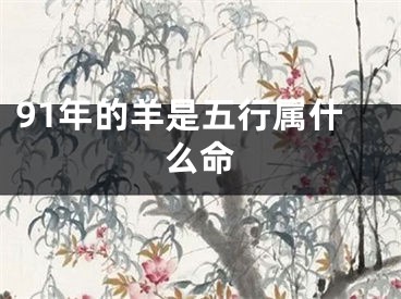 91年的羊是五行属什么命