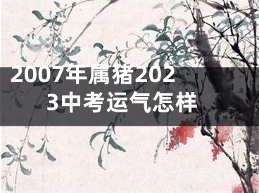 2007年属猪2023中考运气怎样