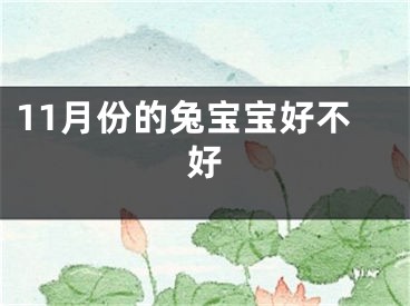 11月份的兔宝宝好不好