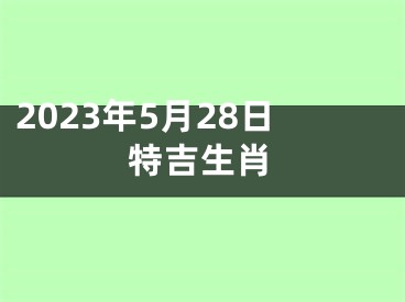 2023年5月28日特吉生肖