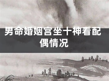 男命婚姻宫坐十神看配偶情况