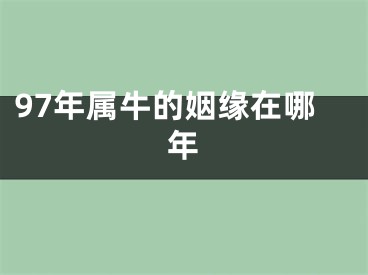 97年属牛的姻缘在哪年