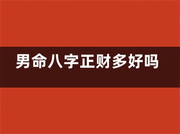 男命八字正财多好吗