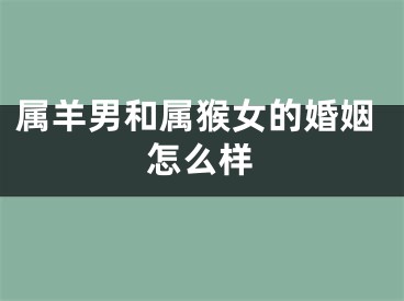 属羊男和属猴女的婚姻怎么样