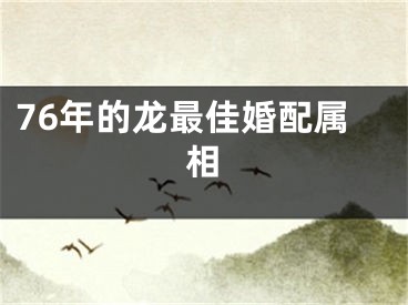 76年的龙最佳婚配属相