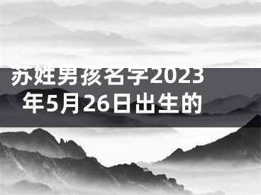 苏姓男孩名字2023年5月26日出生的