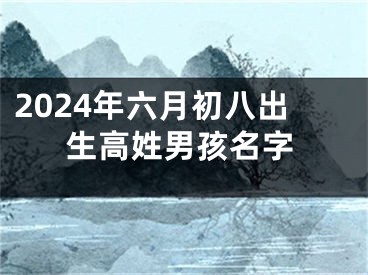 2024年六月初八出生高姓男孩名字