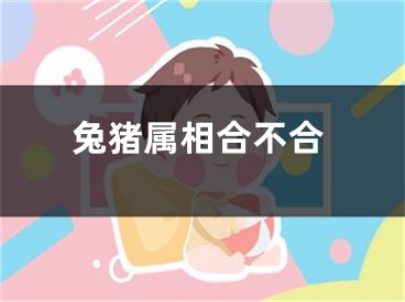 兔猪属相合不合