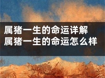 属猪一生的命运详解 属猪一生的命运怎么样