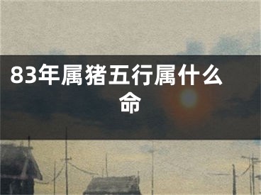 83年属猪五行属什么命