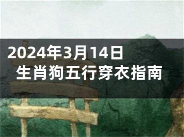 2024年3月14日生肖狗五行穿衣指南