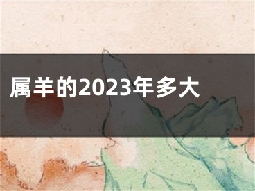 属羊的2023年多大