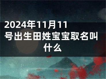 2024年11月11号出生田姓宝宝取名叫什么