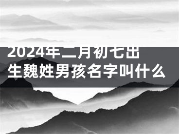 2024年二月初七出生魏姓男孩名字叫什么
