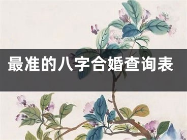 最准的八字合婚查询表