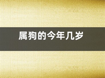 属狗的今年几岁