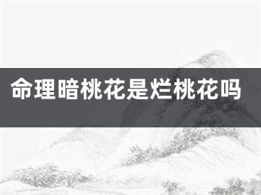 命理暗桃花是烂桃花吗
