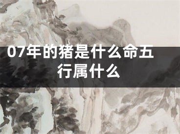 07年的猪是什么命五行属什么