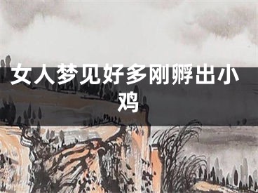 女人梦见好多刚孵出小鸡