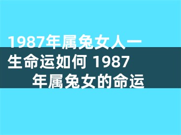 1987年属兔女人一生命运如何 1987年属兔女的命运