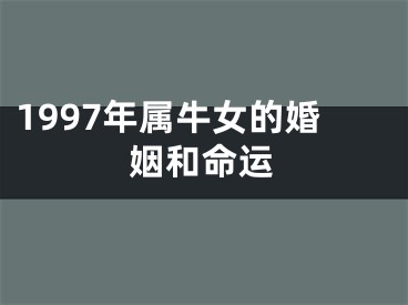 1997年属牛女的婚姻和命运