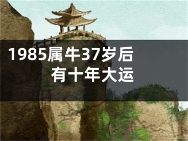 1985属牛37岁后有十年大运