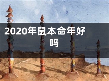 2020年鼠本命年好吗