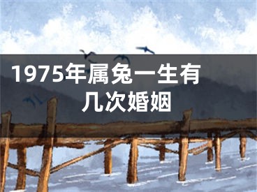 1975年属兔一生有几次婚姻