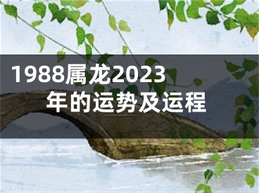 1988属龙2023年的运势及运程