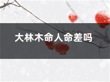 大林木命人命差吗