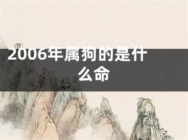 2006年属狗的是什么命