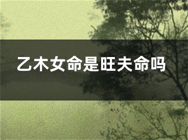 乙木女命是旺夫命吗