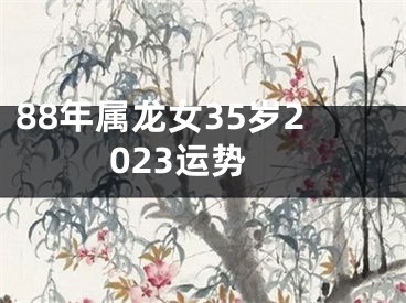 88年属龙女35岁2023运势