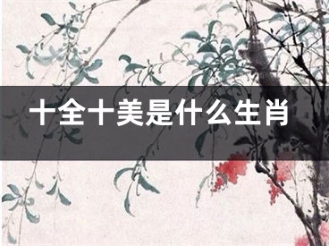 十全十美是什么生肖