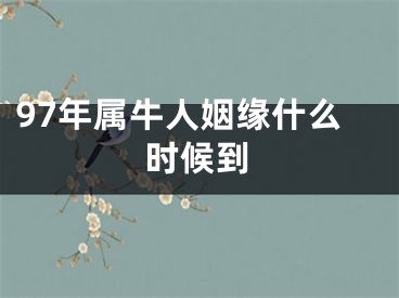 97年属牛人姻缘什么时候到
