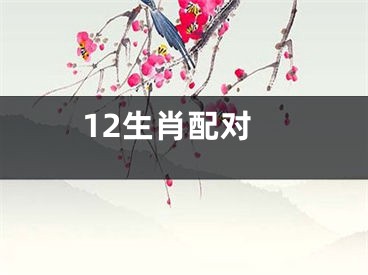 12生肖配对