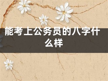 能考上公务员的八字什么样