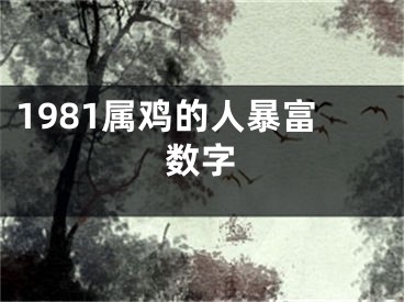 1981属鸡的人暴富数字