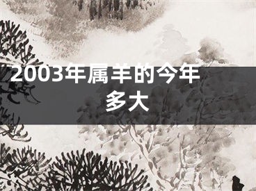 2003年属羊的今年多大