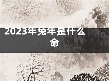 2023年兔年是什么命